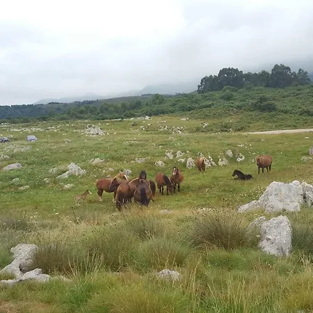 En Urbanizacion Con Piscina Centro De Unquera-val De San Vicente Ideal Parejas 아파트 웅케라