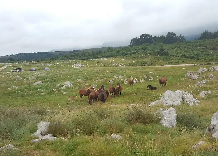 En Urbanizacion Con Piscina Centro De Unquera-val De San Vicente Ideal Parejas 아파트 웅케라